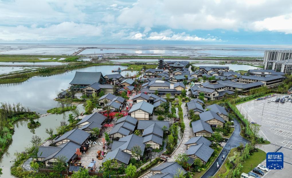 大发国际登录入口
